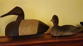 Antique Decoy Ducks