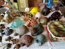 Lots of Turtles, every shape and size