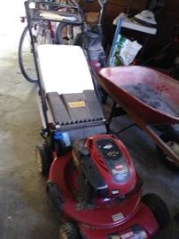 Toro Personal Pace recycler