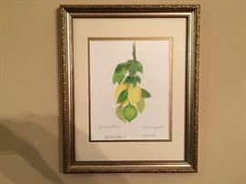 Shirley August 05 copied during Katrina