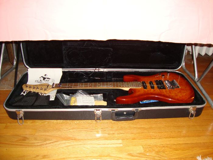 Biscayne Plus guitar and case