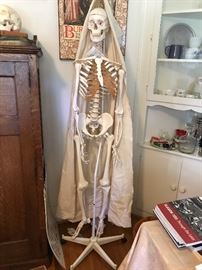 A Scientific skeleton used to teach the Alexander Technique in theater class.