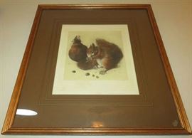 Albrecht Durer Pinx Gravure Hanfstaengl "Two Squirrels"