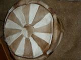Antelope fur stool/ottoman