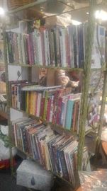 SHE HAS LOTS OF BOOKS SERIOUSLY LOTS