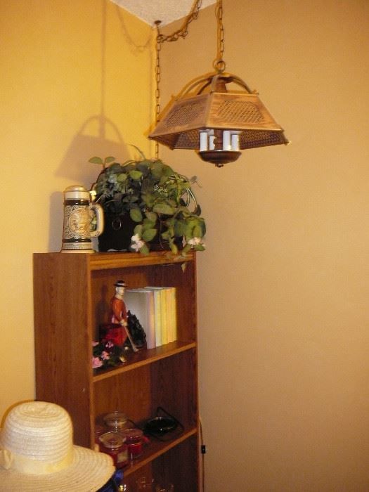 4 SHELF BOOKCASE - HANGING LAMP - STEIN - MORE! 
