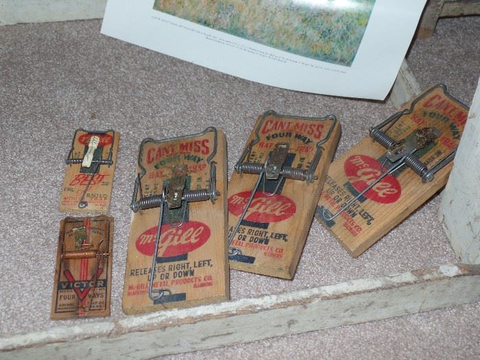 Old wood rat and mouse traps