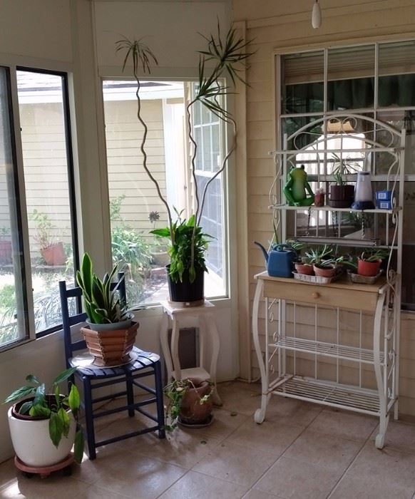 Potted Plants, Chairs, End Table, Baker's Rack