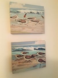 Two paintings of sandpiper birds