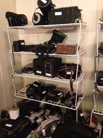 Many vintage cameras