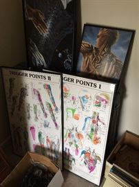 Medical Diagrams in frames