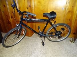 AutoBike Classic Men's bicycle.