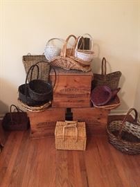 Merck & Co Inc Wood Storage Crates