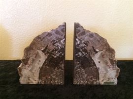 Petrified wood bookends