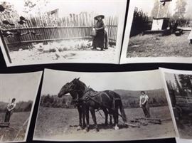 Old farming photos