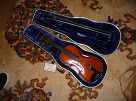 Violin