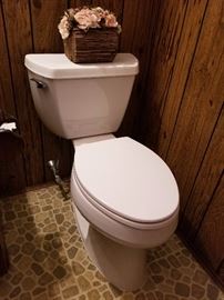 Kohler toilets