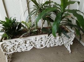 iron planter