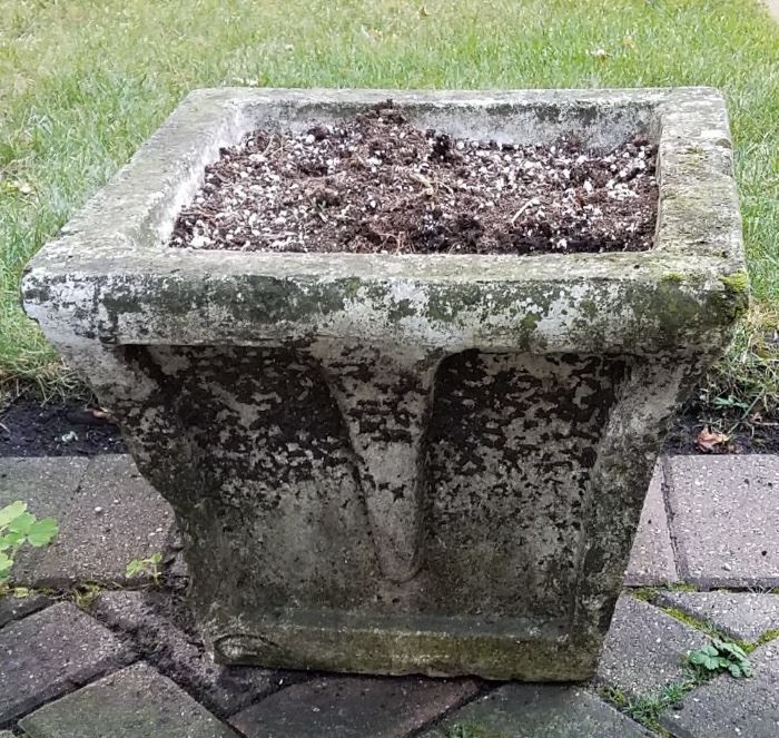 Early 20th c cement planter, one of pair