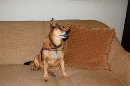 Bungie is not for Sale!