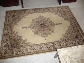 5' x7' AREA RUG