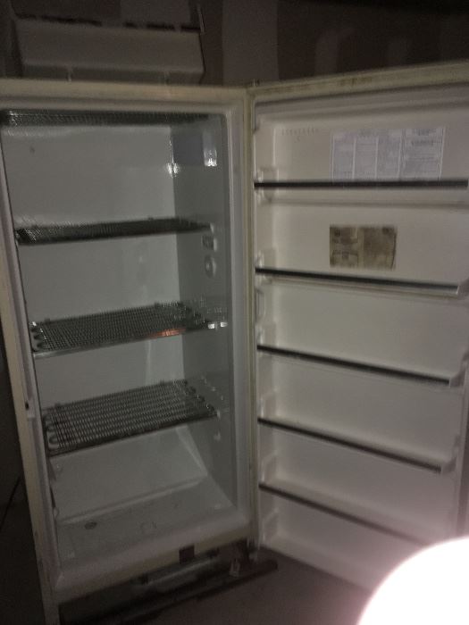 Freezer $100.00