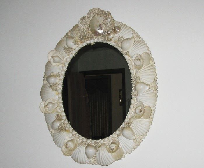 shell mirror