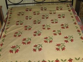 This quilt was made by the Brushy Mountain Quilt Guild. (see next photo)