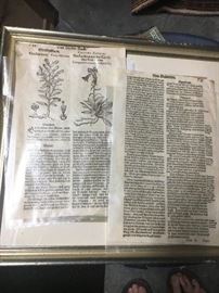 c. 1600 book pages  2 for $15