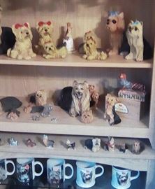 Yorkie collection