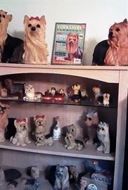 Yorkie's