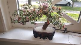 Jade Plant