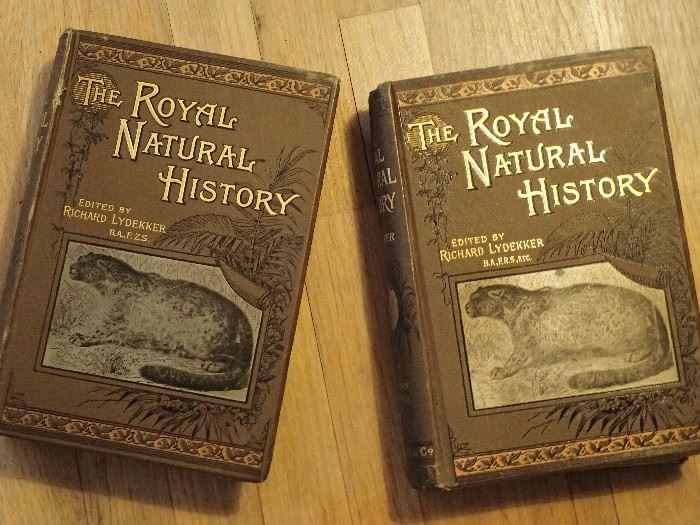 
The Royal Natural History. Complete Set in 6 Volumes

Lydekker, Richard (Editor)

Published by Frederick Warne & Co (1893)THE ROYAL NATURAL HISTORY X 6