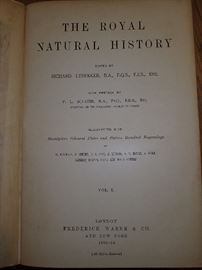 The Royal Natural History. Complete Set in 6 Volumes
Lydekker, Richard (Editor)

Published by Frederick Warne & Co (1893)
