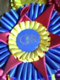 Equestrian Horse Ribbons / Awards