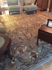 Beautiful area rug 