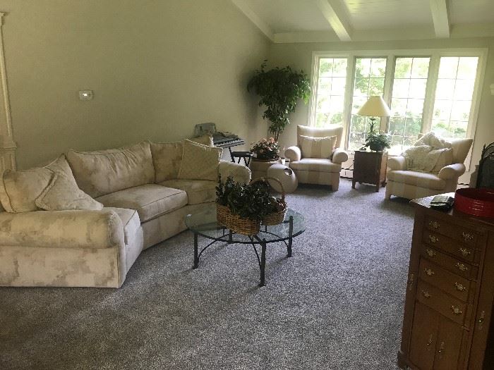 Living rooms furniture