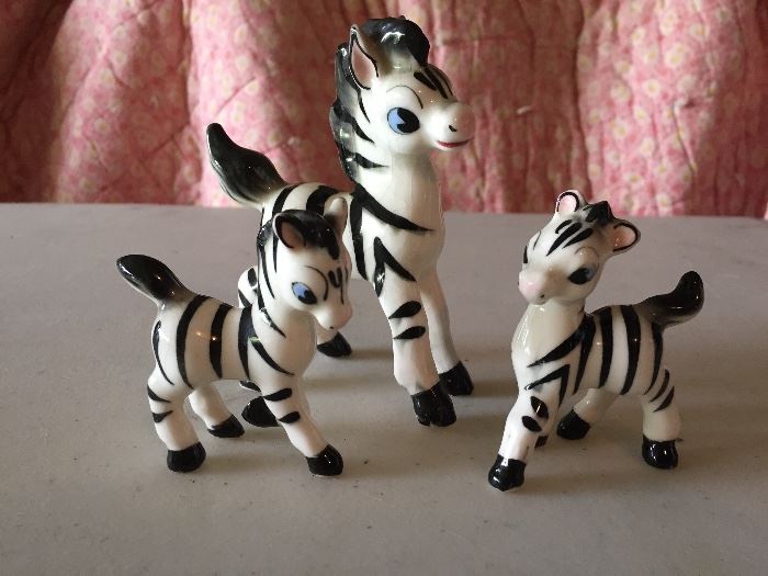 mini zebra family 