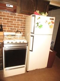 Electric stove and refrigerator