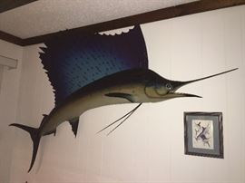Sailfish Fish Mount.
Family Heritage Estate Sales, LLC. New Jersey Estate Sales/ Pennsylvania Estate Sales. 