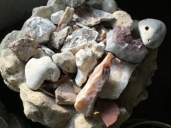 Geodes, rocks and shells