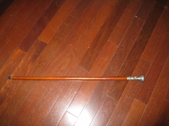 Metal tip cane