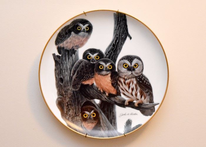 Collectible Owl Plate