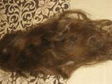 a piece of human hair.