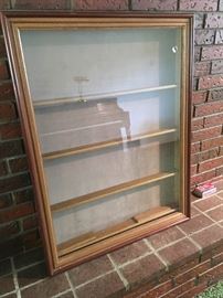 Large Wall Display Case/Shadow Box (vintage)