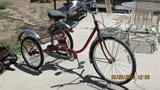 adult tricle in very good condition