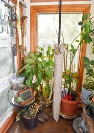 Houseplants & Garden Items