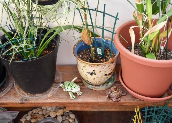 Houseplants & Garden Items