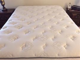Queen Beautyrest "Jacqueline" Plush Firm Mattress/Spring