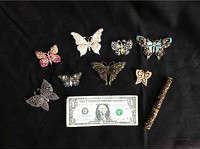 Lot 029 A Bevy of Butterflies